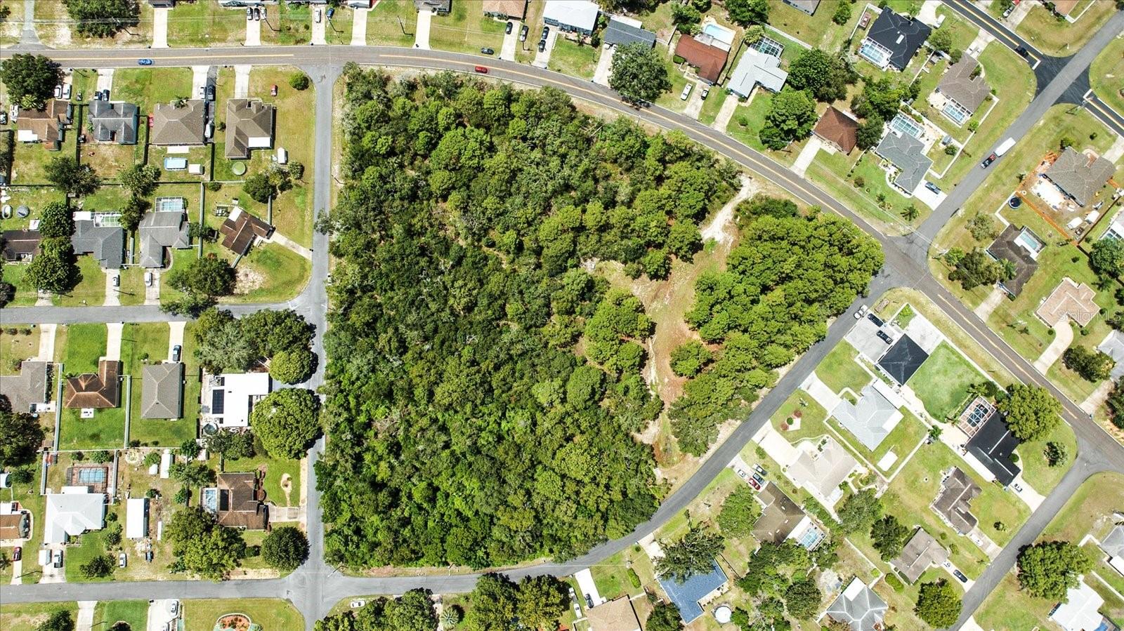 Listing photo id 9 for Linden Drive