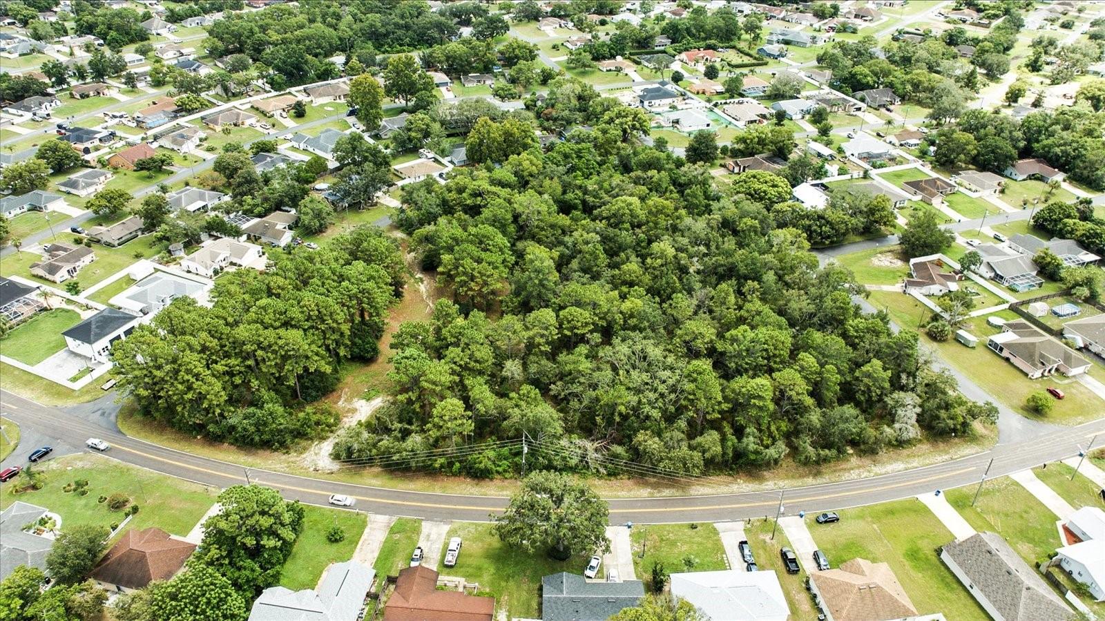 Listing photo id 11 for Linden Drive