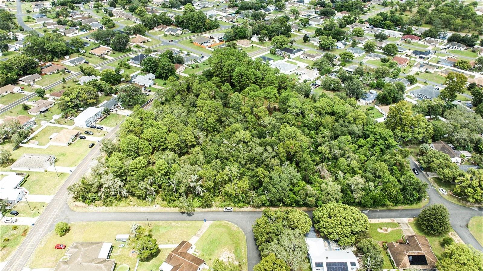 Listing photo id 13 for Linden Drive