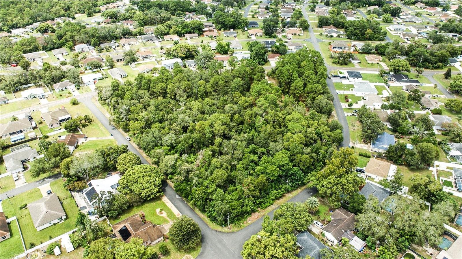 Listing photo id 14 for Linden Drive