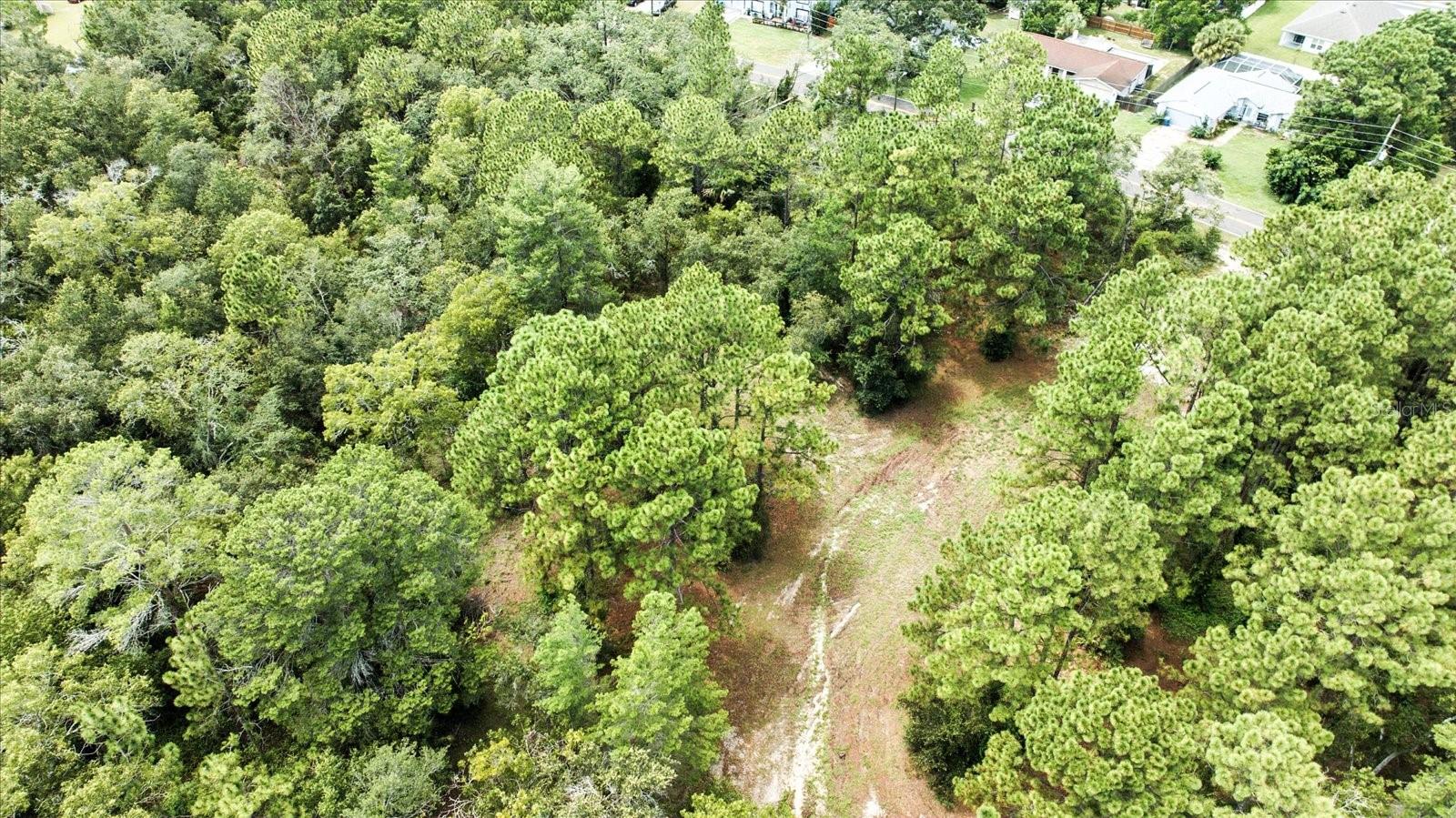 Listing photo id 16 for Linden Drive