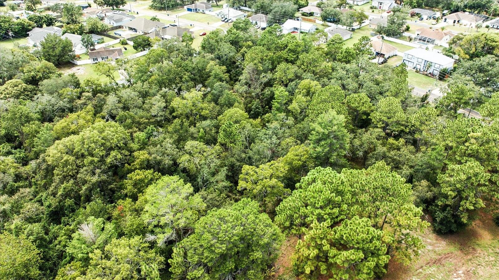 Listing photo id 17 for Linden Drive