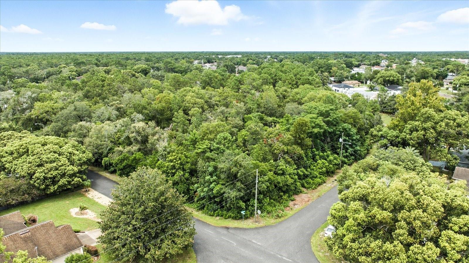 Listing photo id 3 for Linden Drive