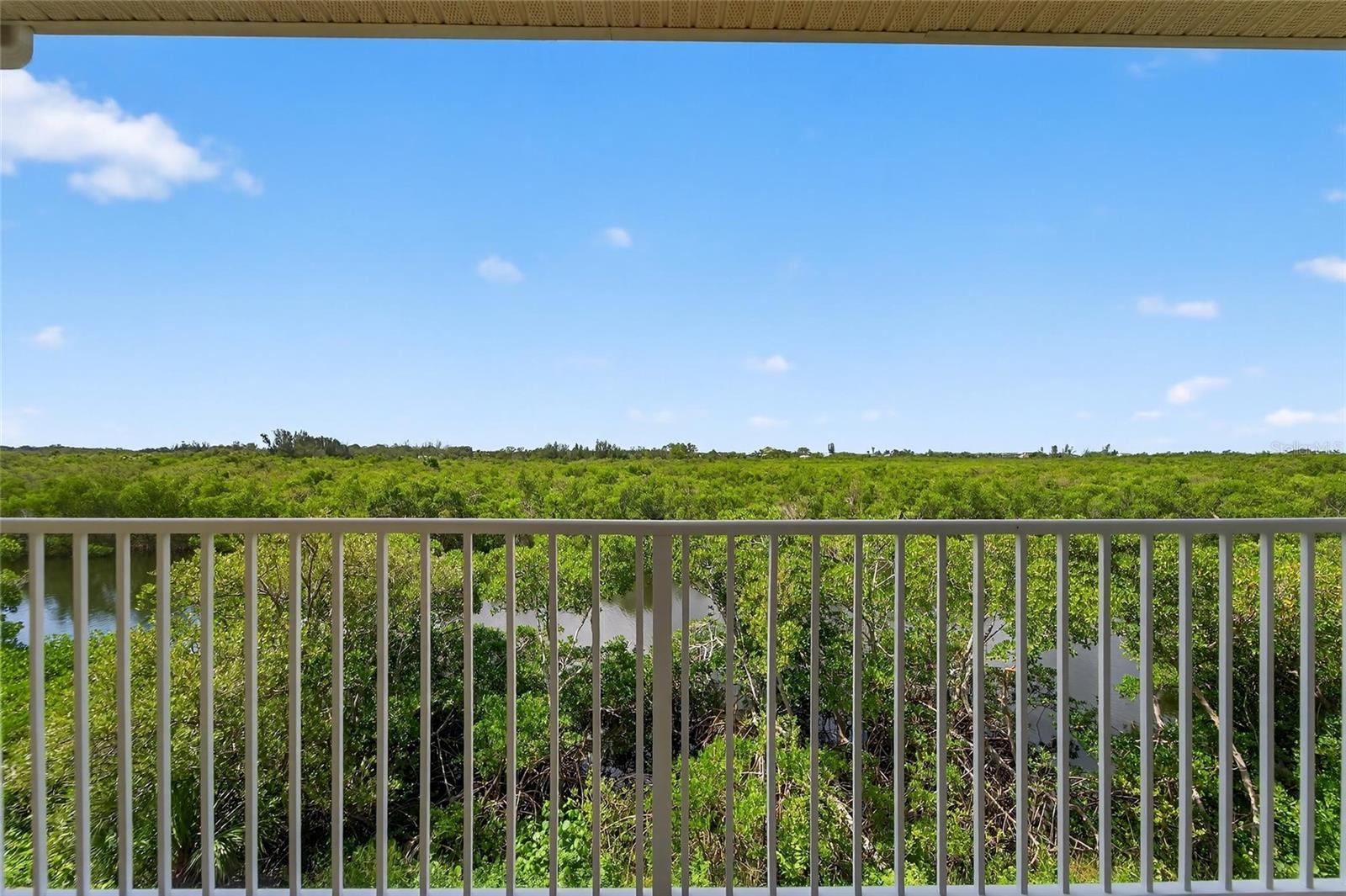 Image 48 of 70 For 3266 Mangrove Point Drive