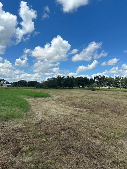 Image 19 of 25 For 4104 Needle Palm Road