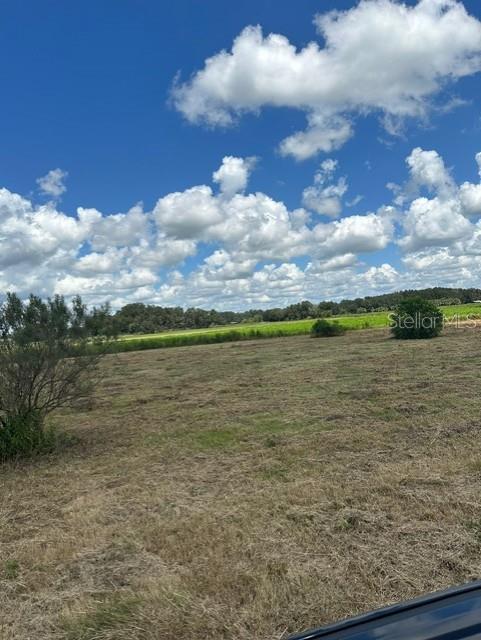 Image 20 of 25 For 4104 Needle Palm Road