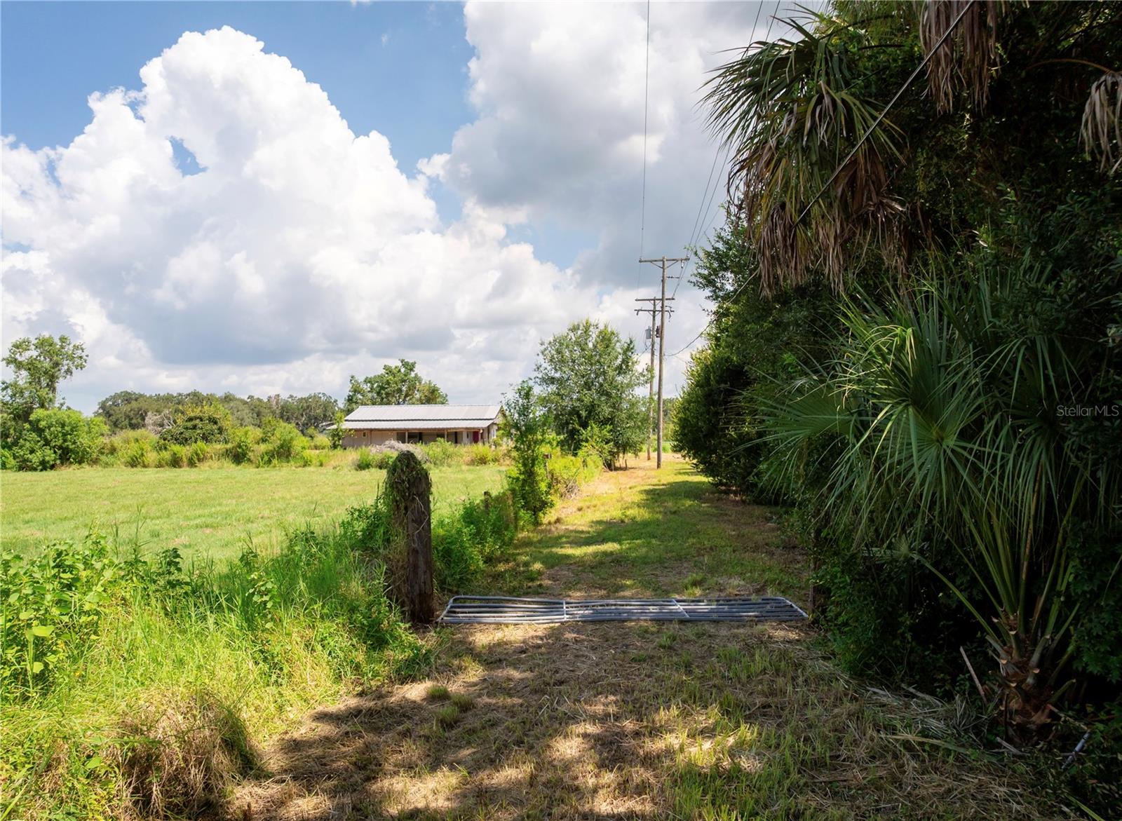 Image 9 of 18 For 4104 Needle Palm Road