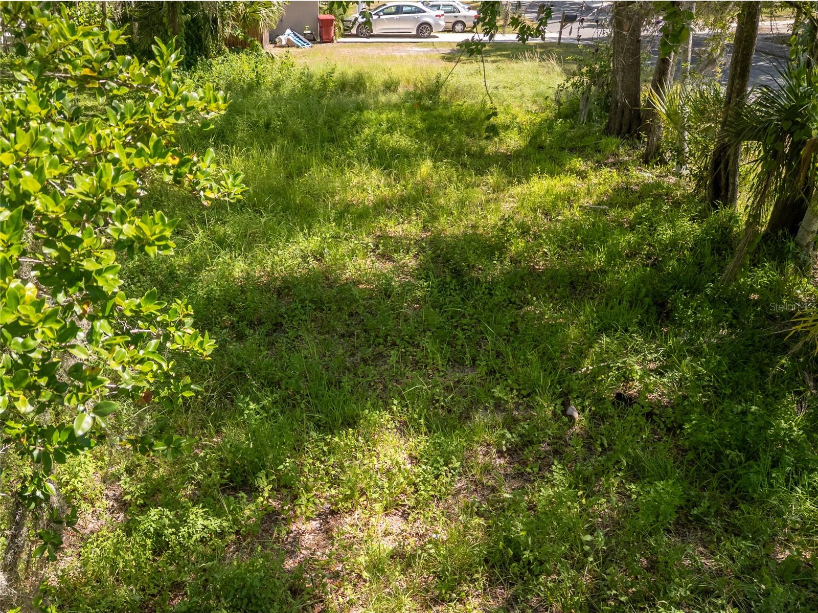 Image 8 of 10 For 901 Warren Street