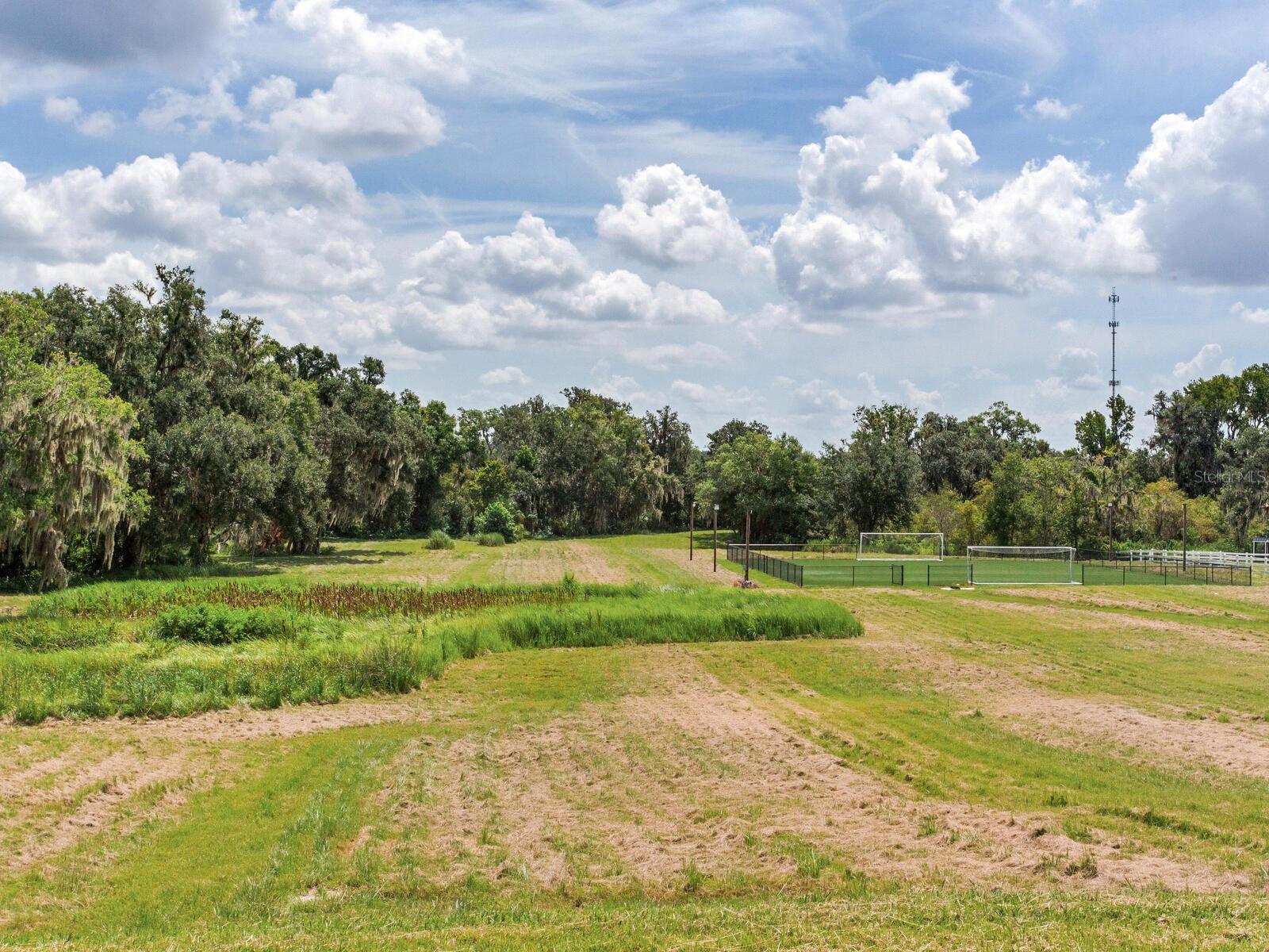 Listing photo id 38 for 8604 Alafia Hills Drive