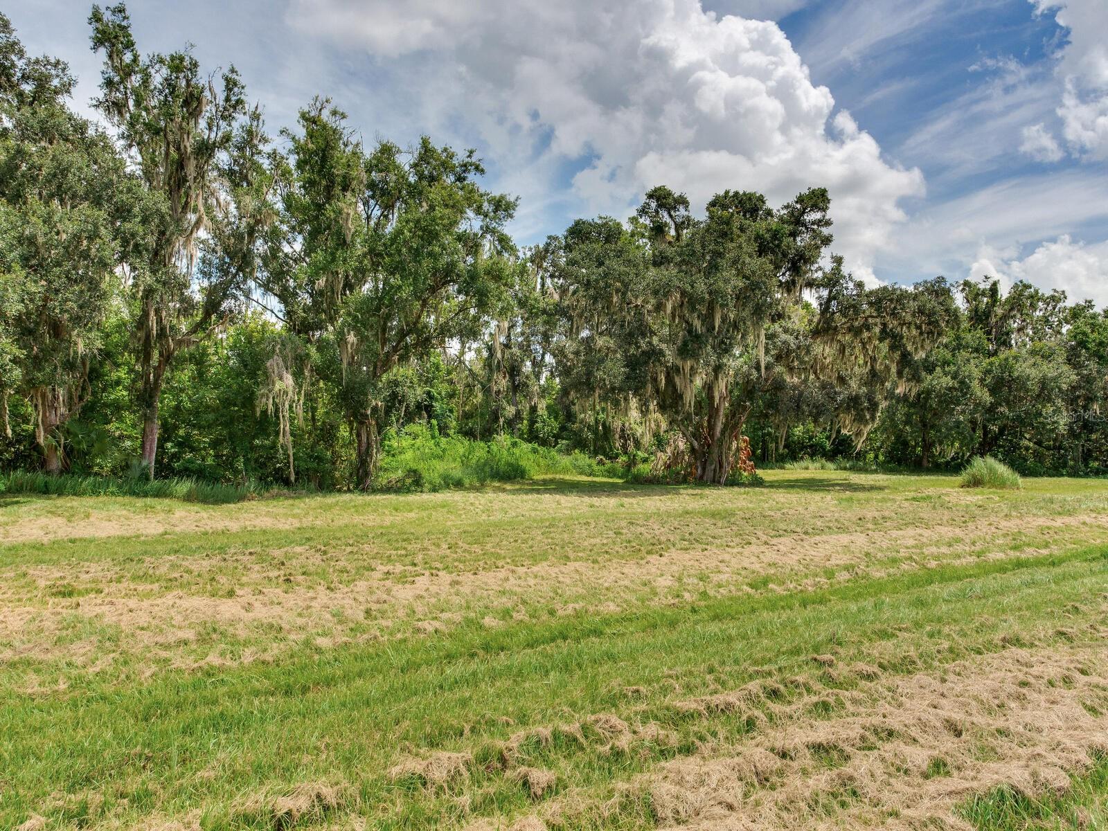 Listing photo id 43 for 8604 Alafia Hills Drive