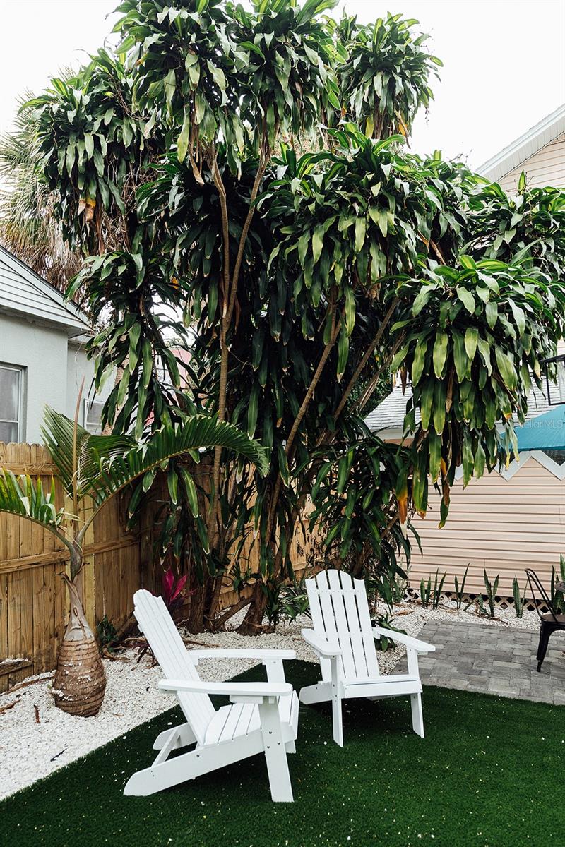 Image 37 of 49 For 809 10th Avenue N 6