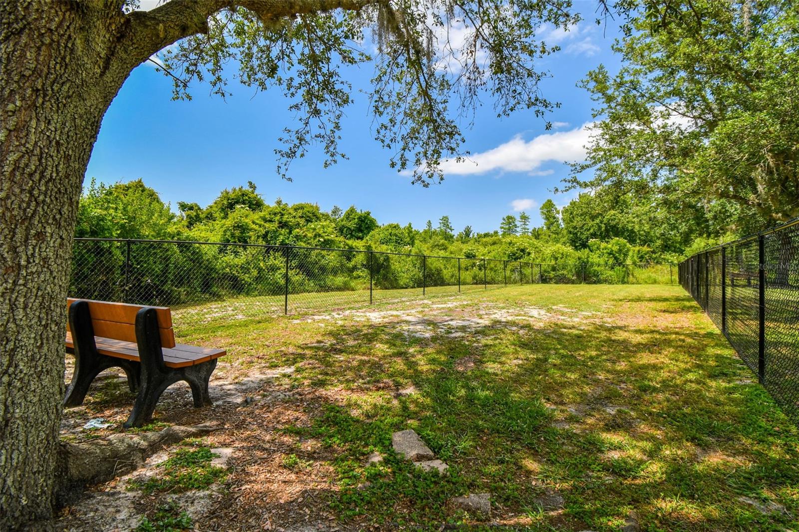 Listing photo id 53 for 9638 Jaybird Lane