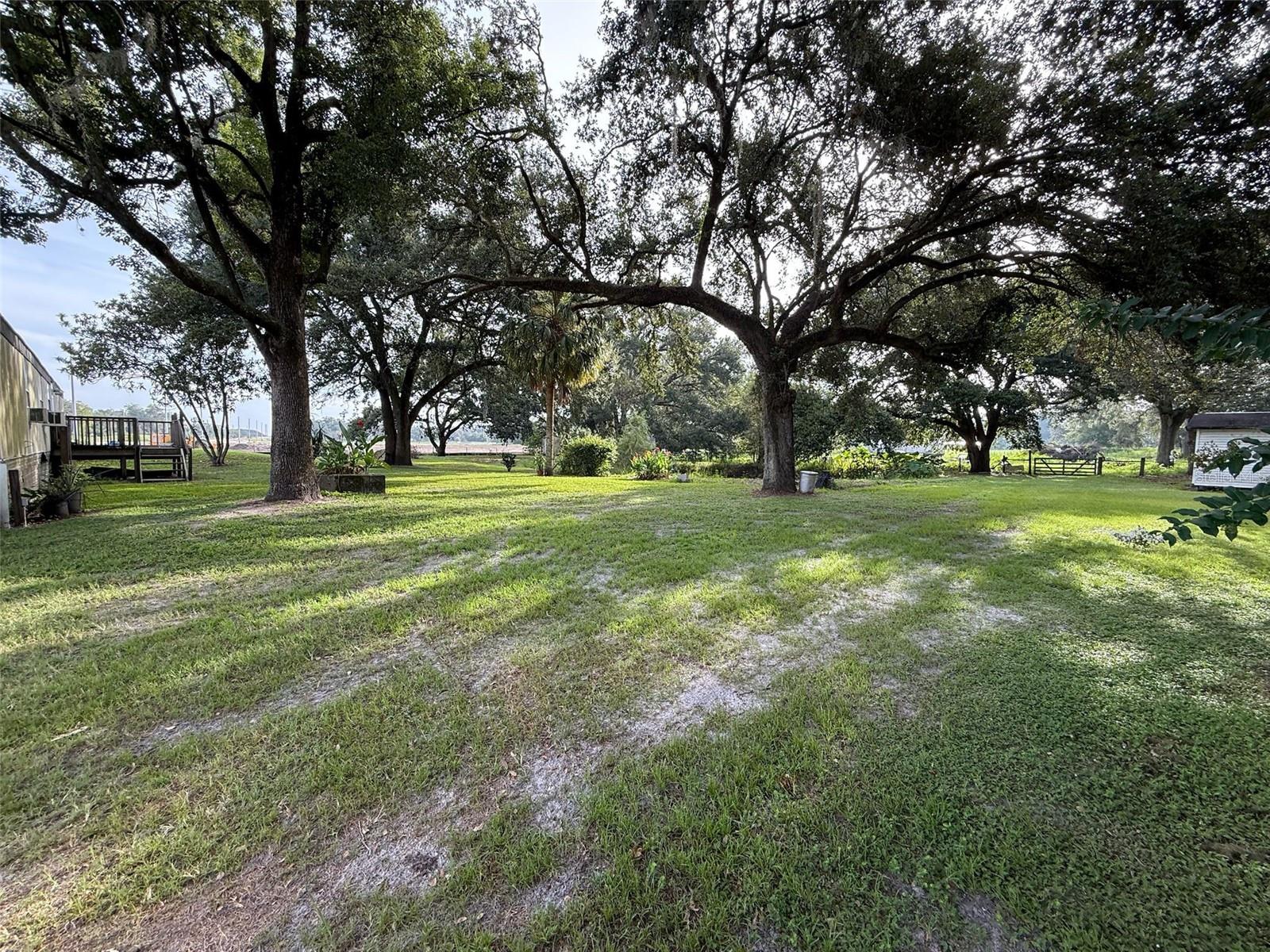 Listing photo id 35 for 21146 Us Highway 301