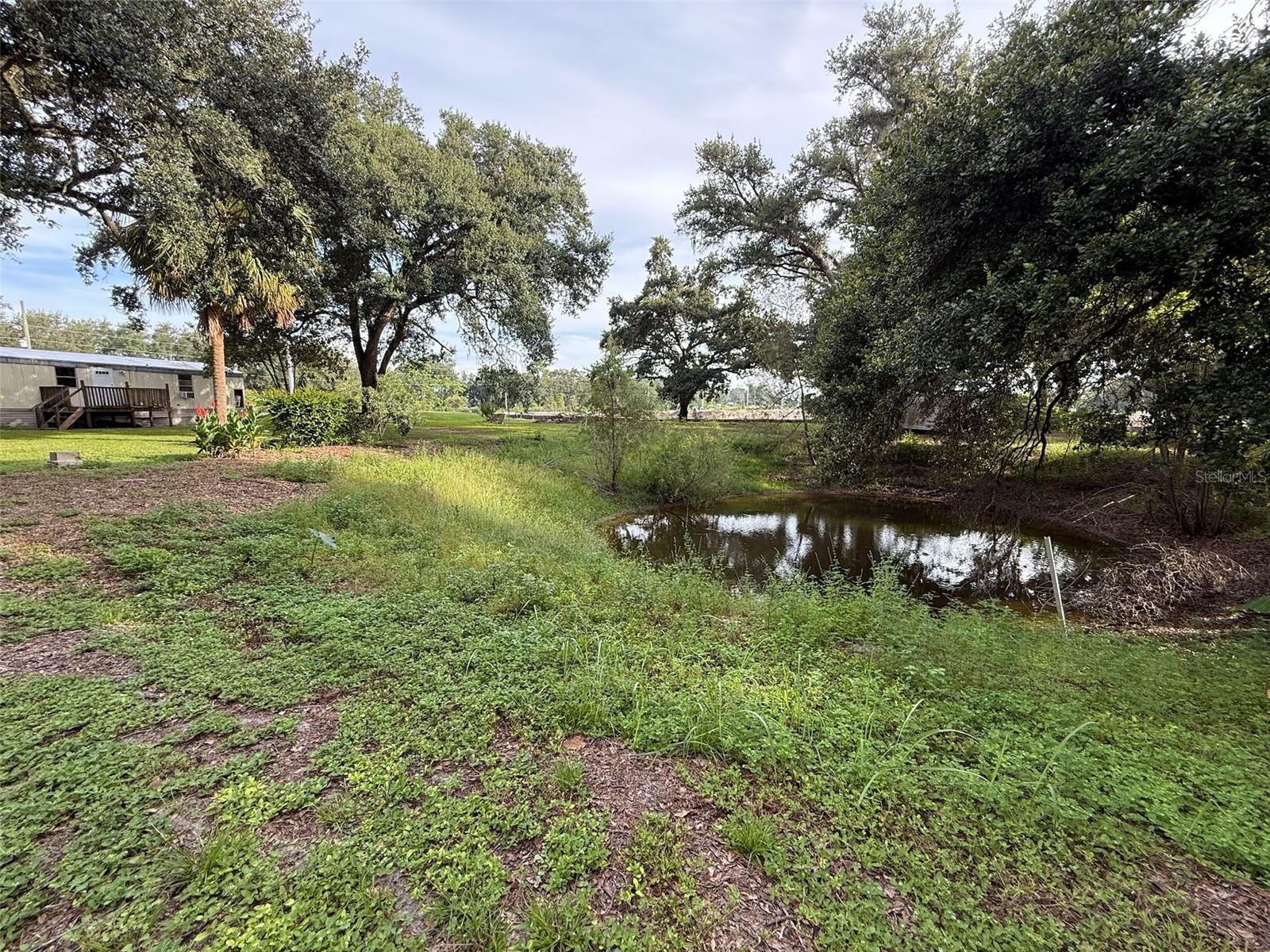 Listing photo id 6 for 21146 Us Highway 301