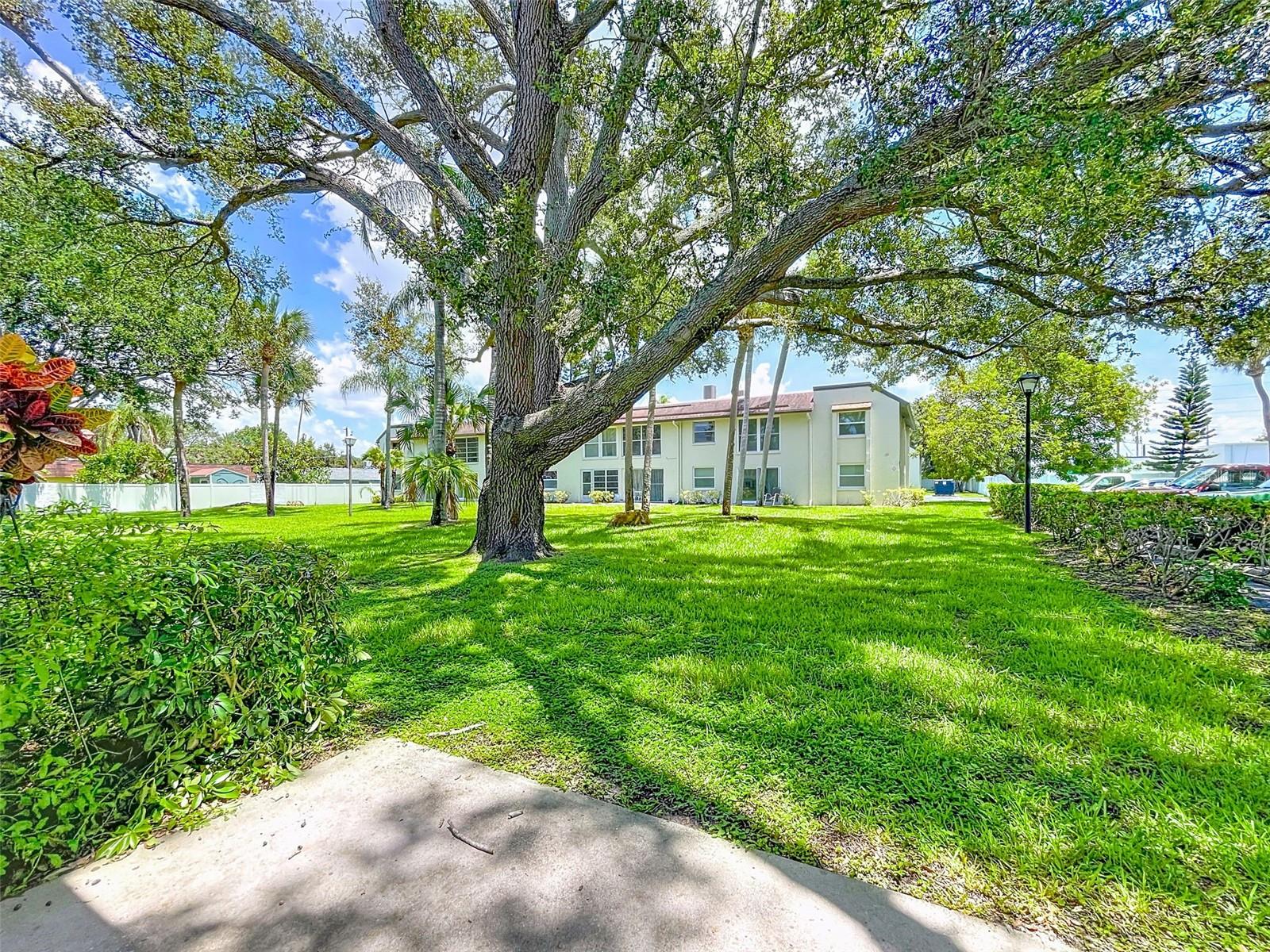 Image 22 of 47 For 1100 East Bay Drive 38