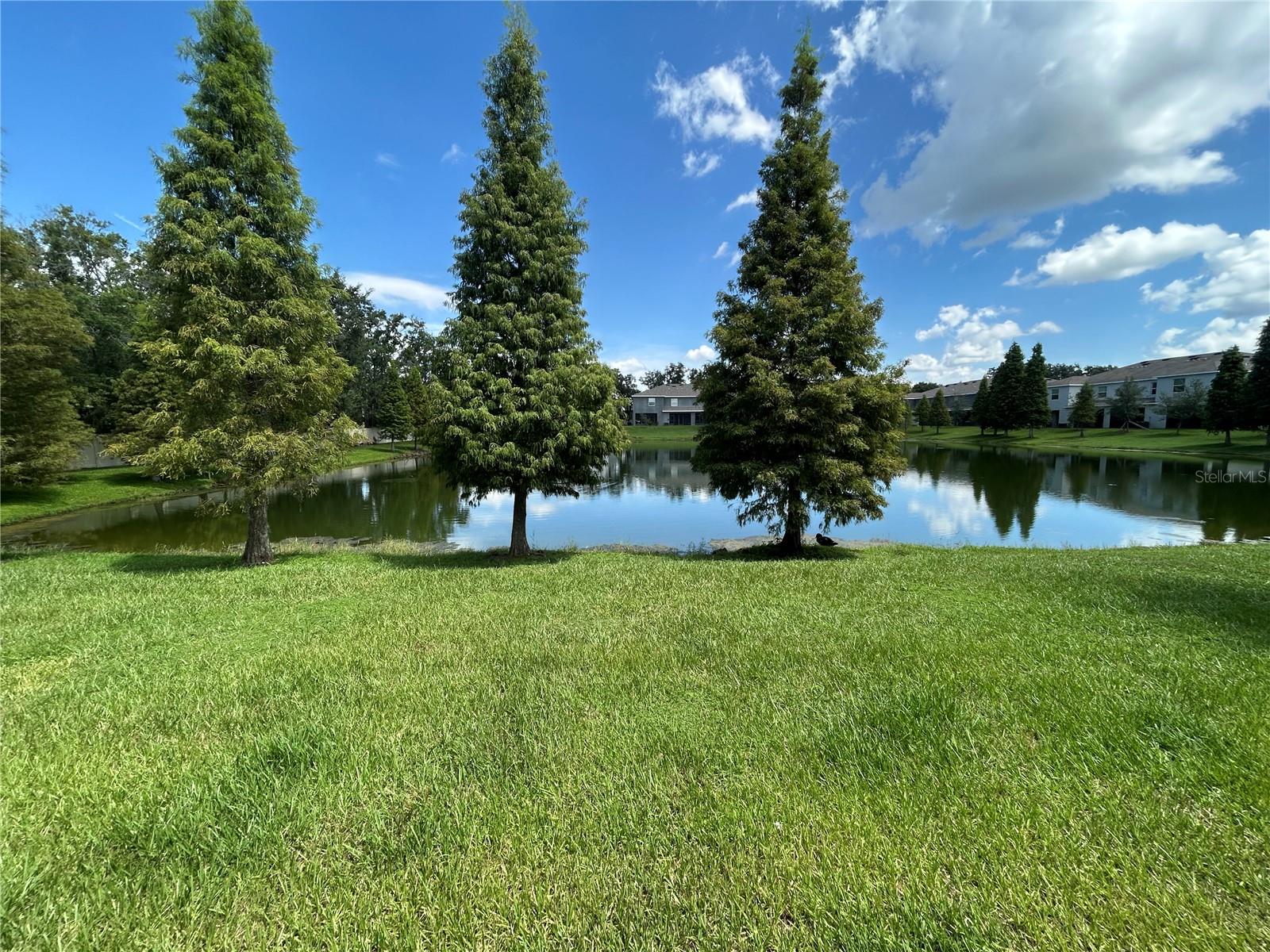 Image 6 of 6 For 3350 Pleasant Willow Court