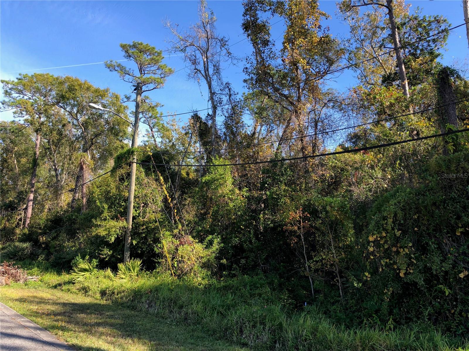 Details for 1861 Corbett Road, ORLANDO, FL 32826