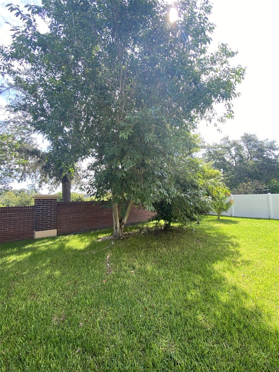Listing photo id 17 for 32111 Brookstone Drive