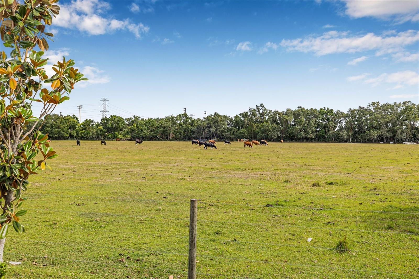 Image 17 of 33 For 5429 Companion Lane