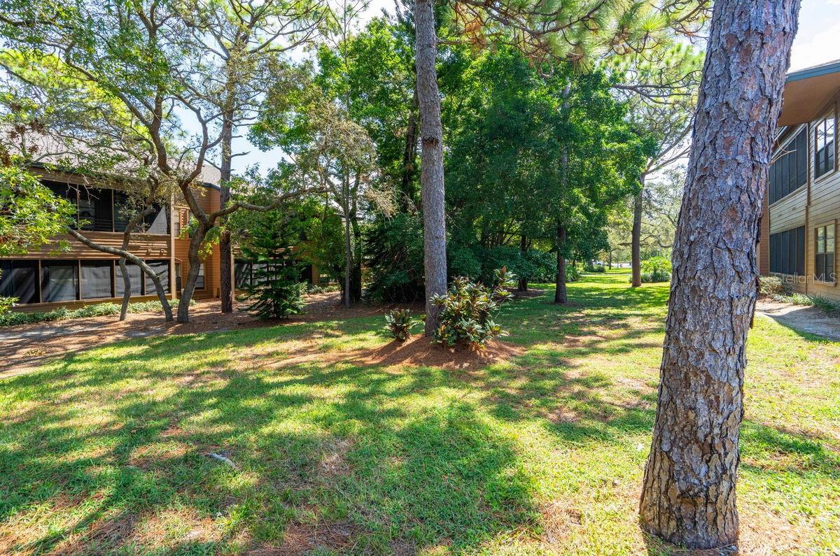 Image 37 of 60 For 1008 Lennox Road W