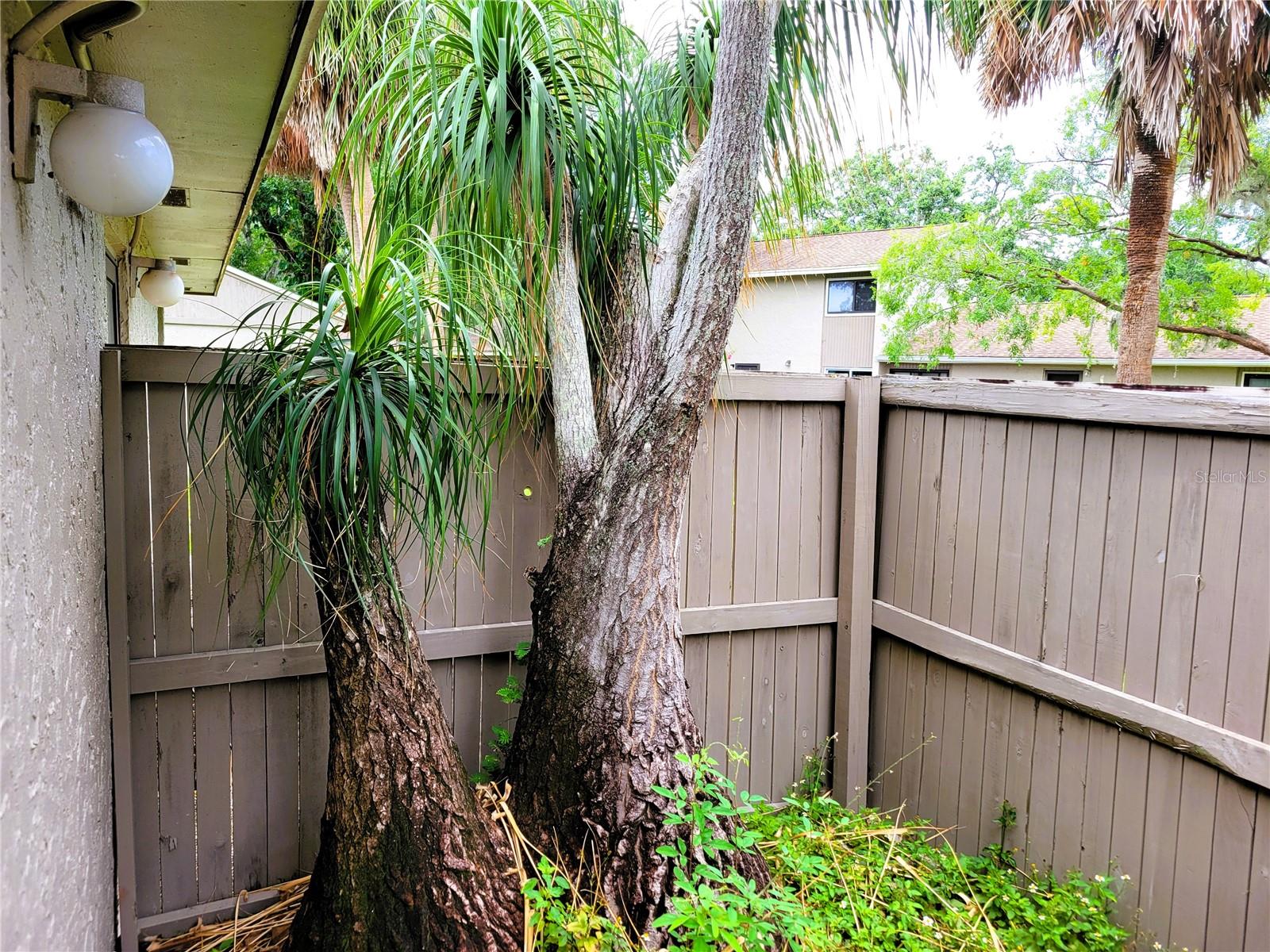 Image 33 of 35 For 8006 Gardenia Dr Drive 78