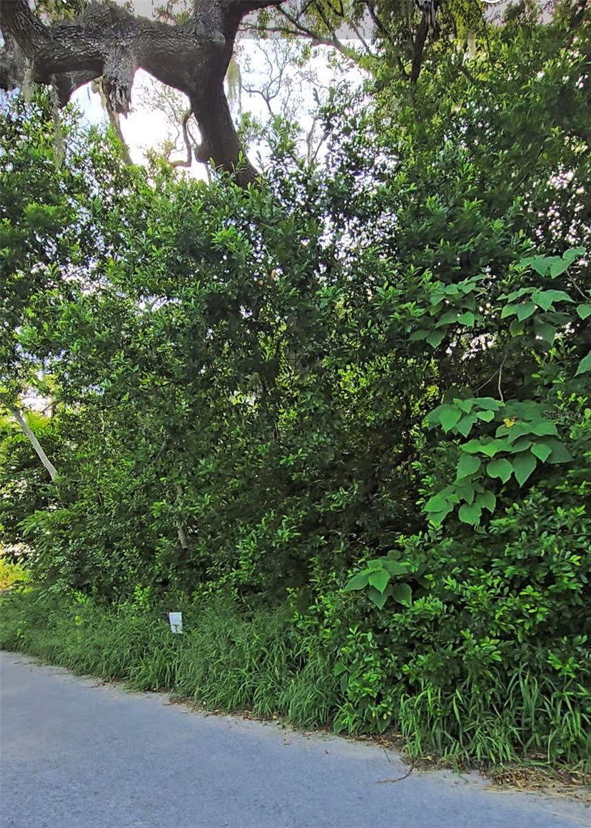 Listing photo id 1 for  Lenox Drive 