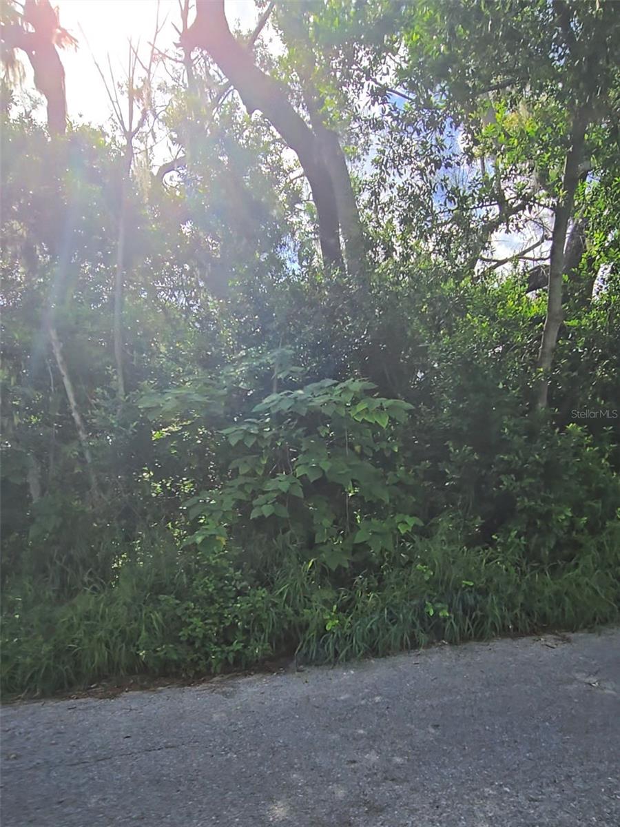 Listing photo id 2 for  Lenox Drive 