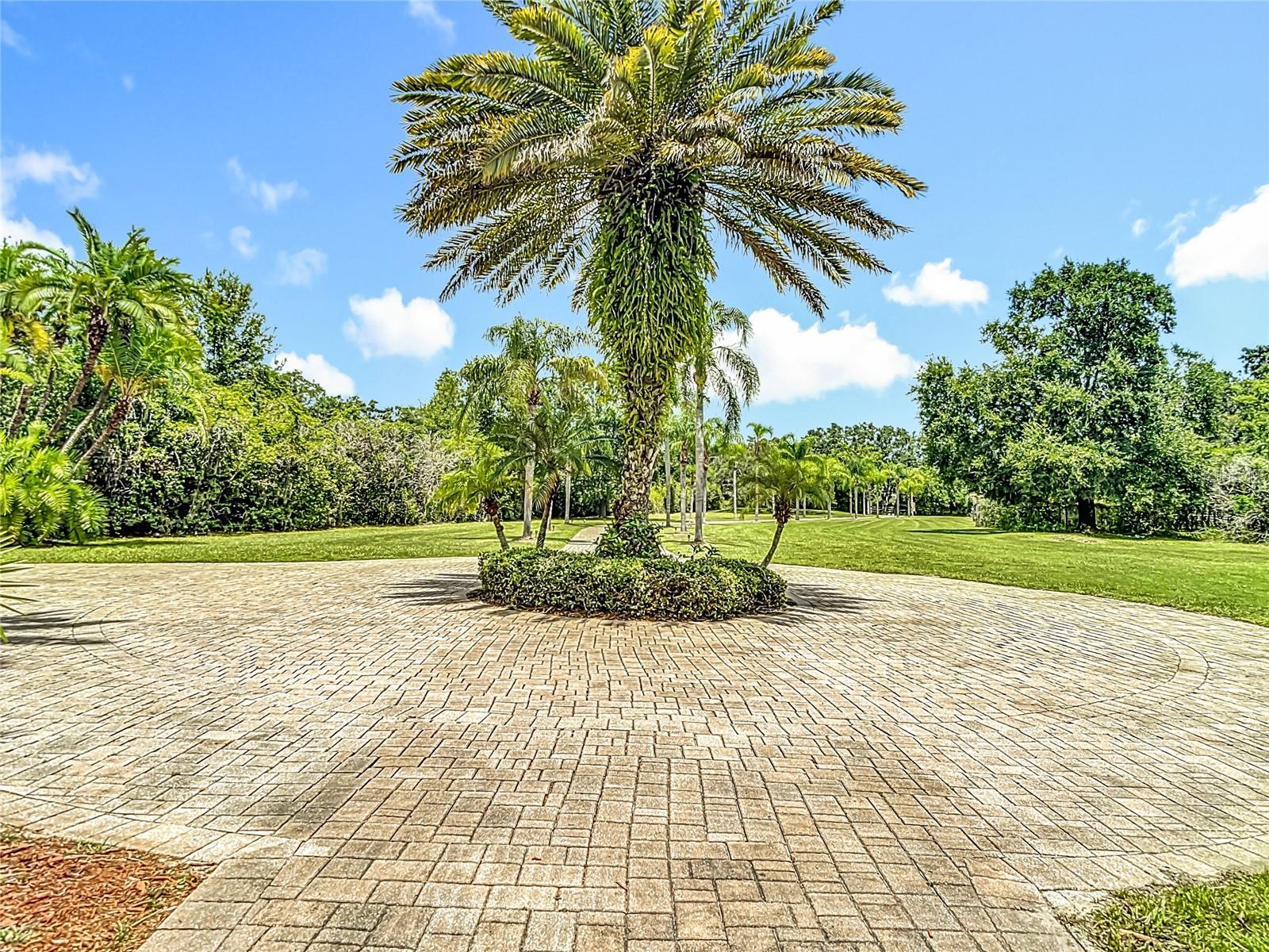 Listing photo id 10 for 7732 Mobley Road