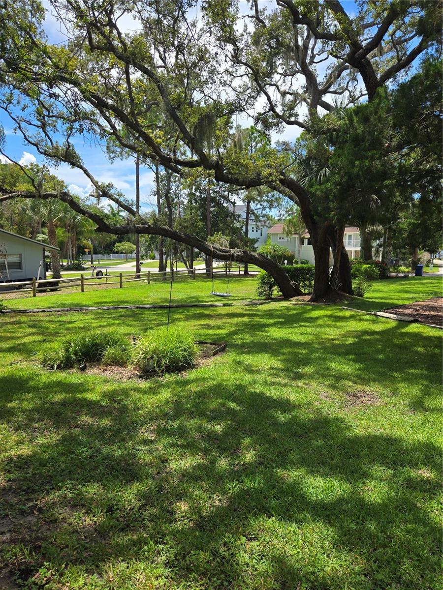 Image 7 of 10 For 236 Pinecrest Drive