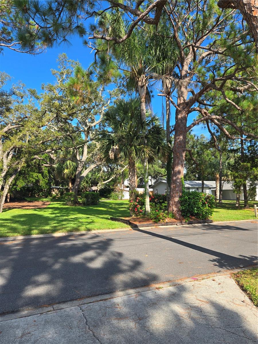 Image 8 of 10 For 236 Pinecrest Drive