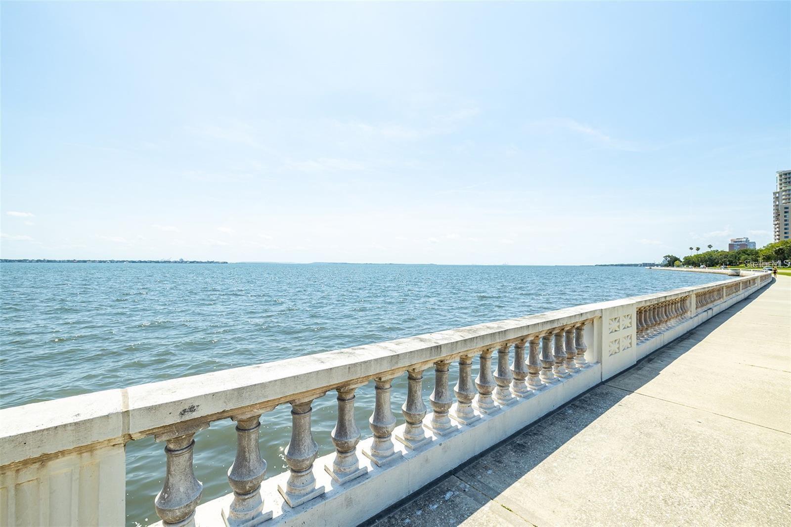 Image 13 of 17 For 3325 Bayshore Boulevard A27