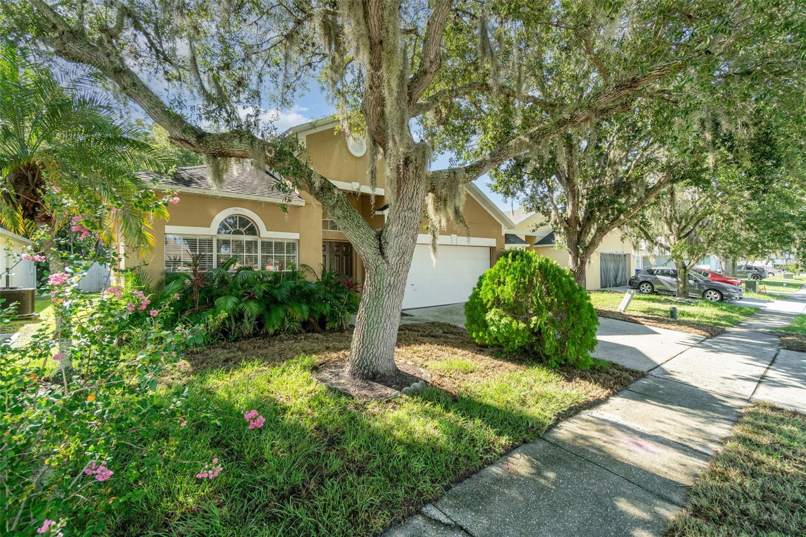 Image 2 of 28 For 2346 Flamingo Lakes Drive
