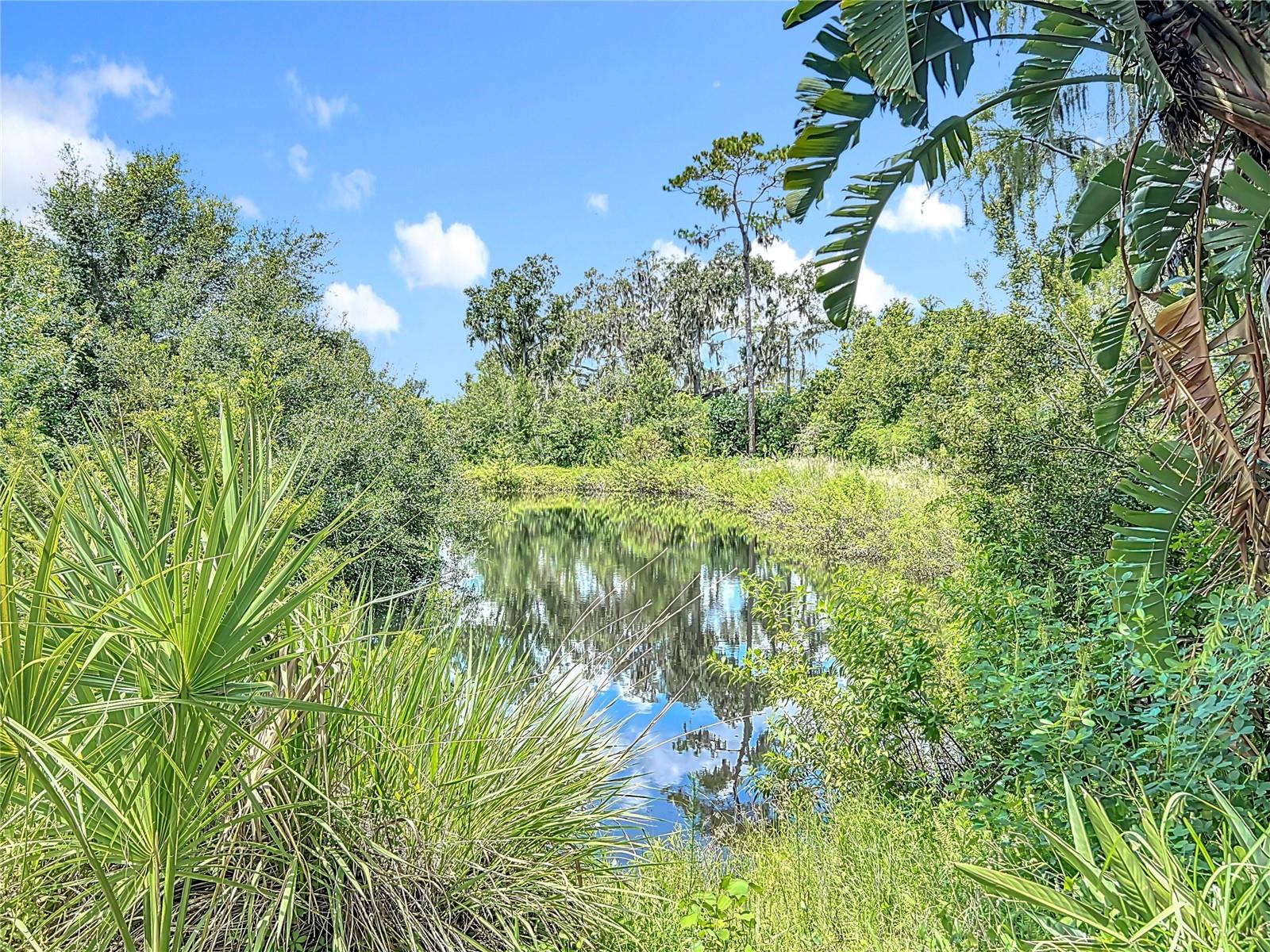 Image 91 of 96 For 3804 Gallagher Road