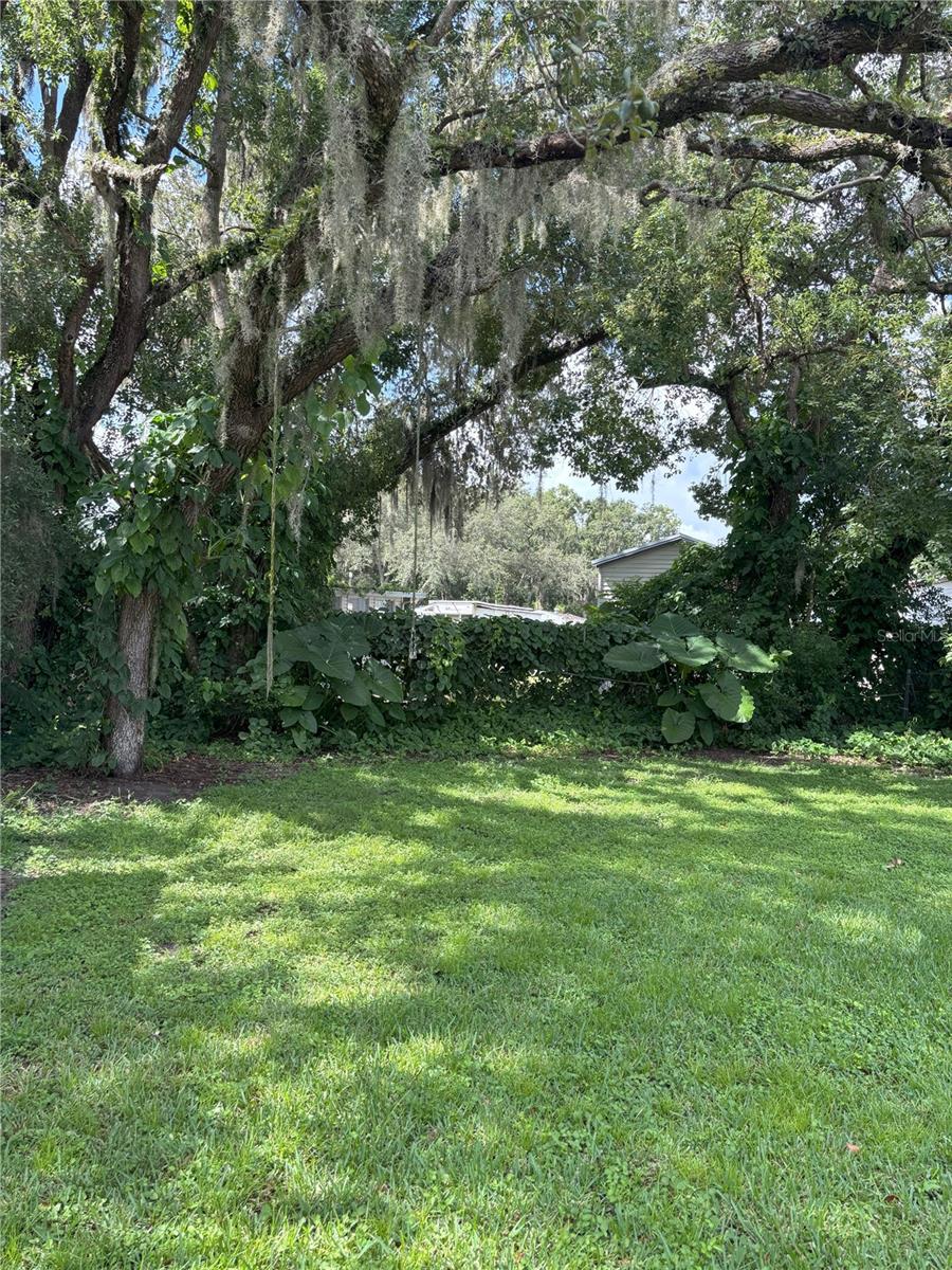 Image 8 of 16 For 38714 Calvin Avenue