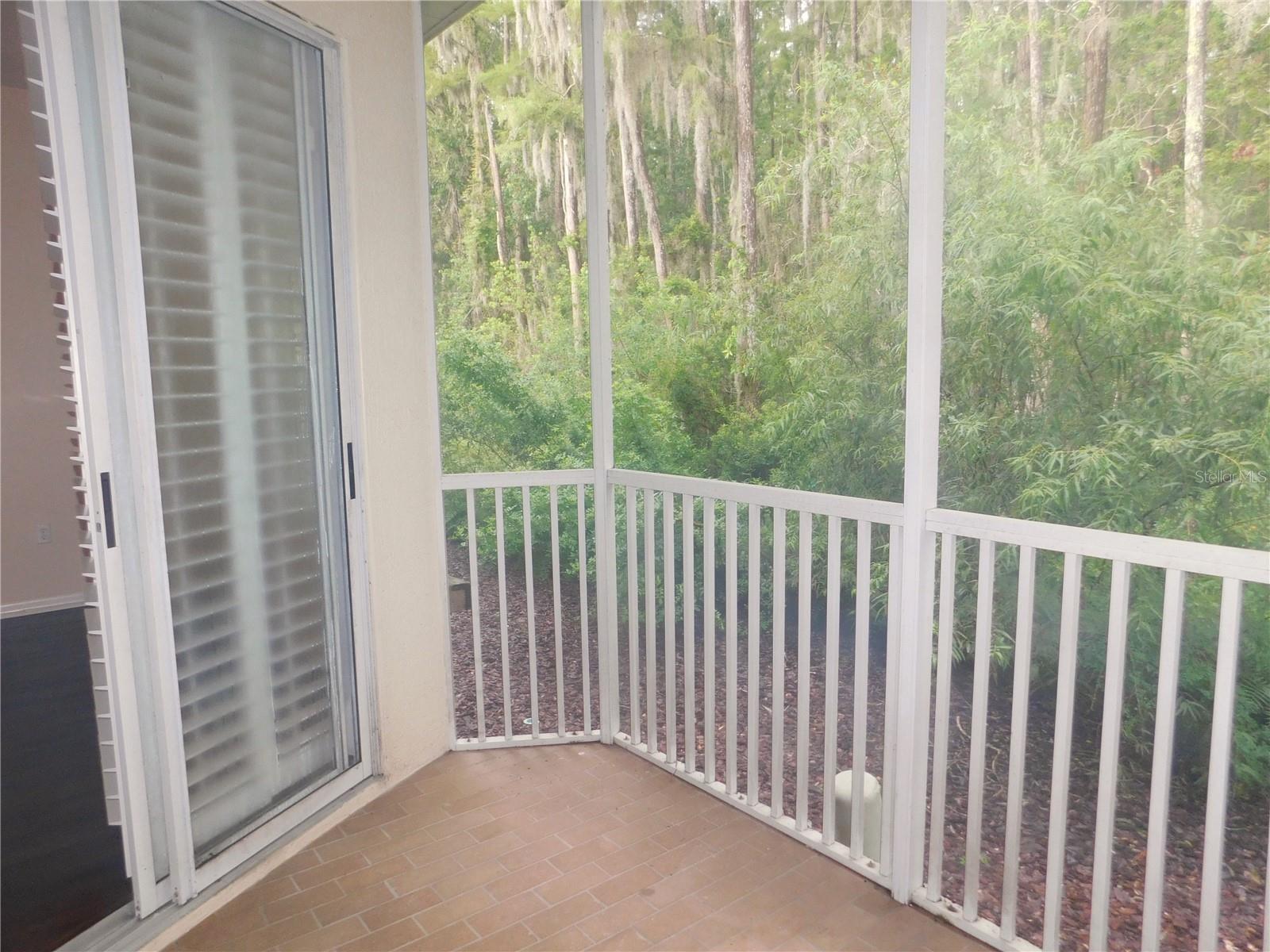Image 15 of 54 For 3438 Primrose Way