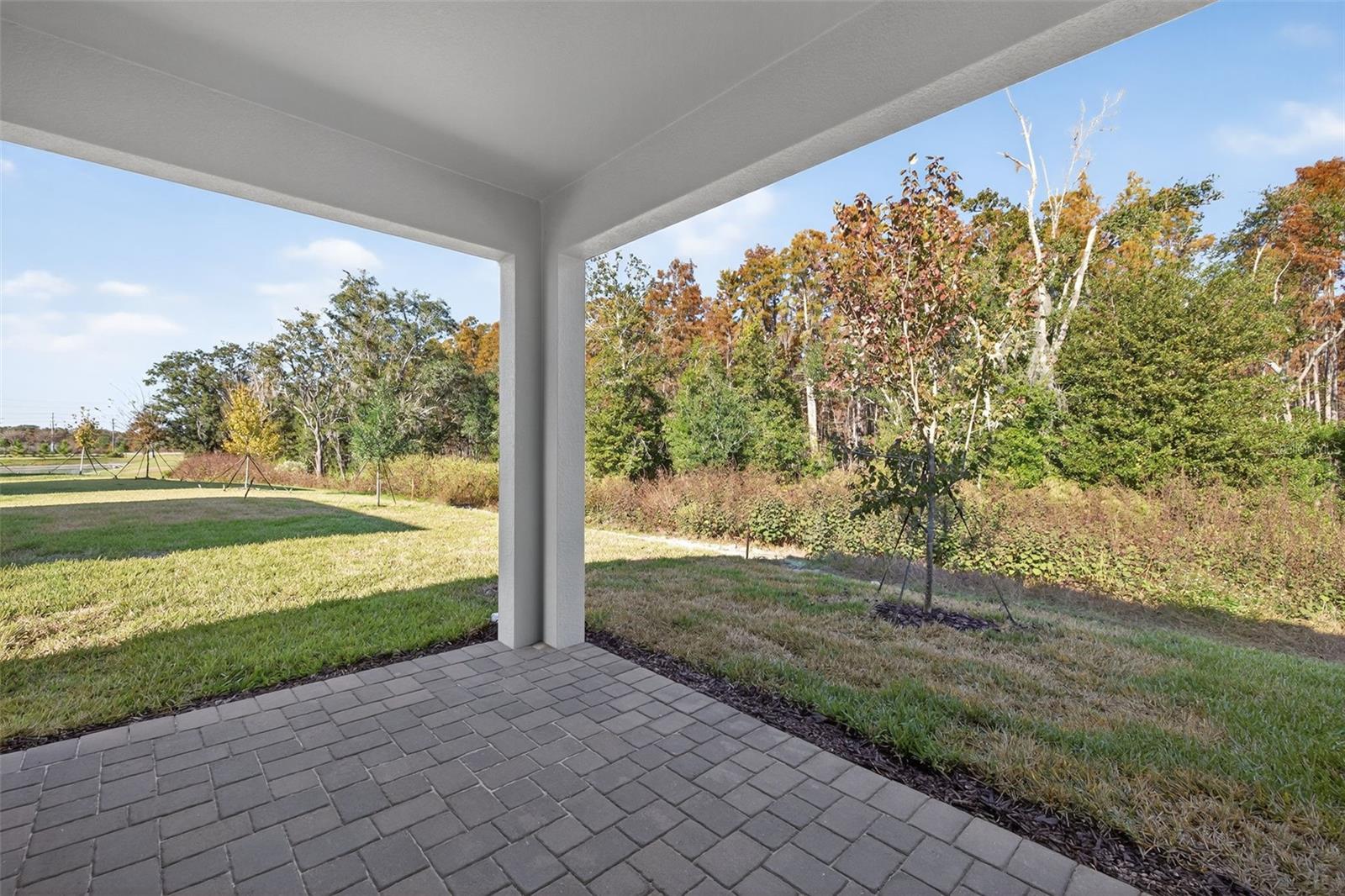 Image 26 of 41 For 31104 Pendleton Landing Circle