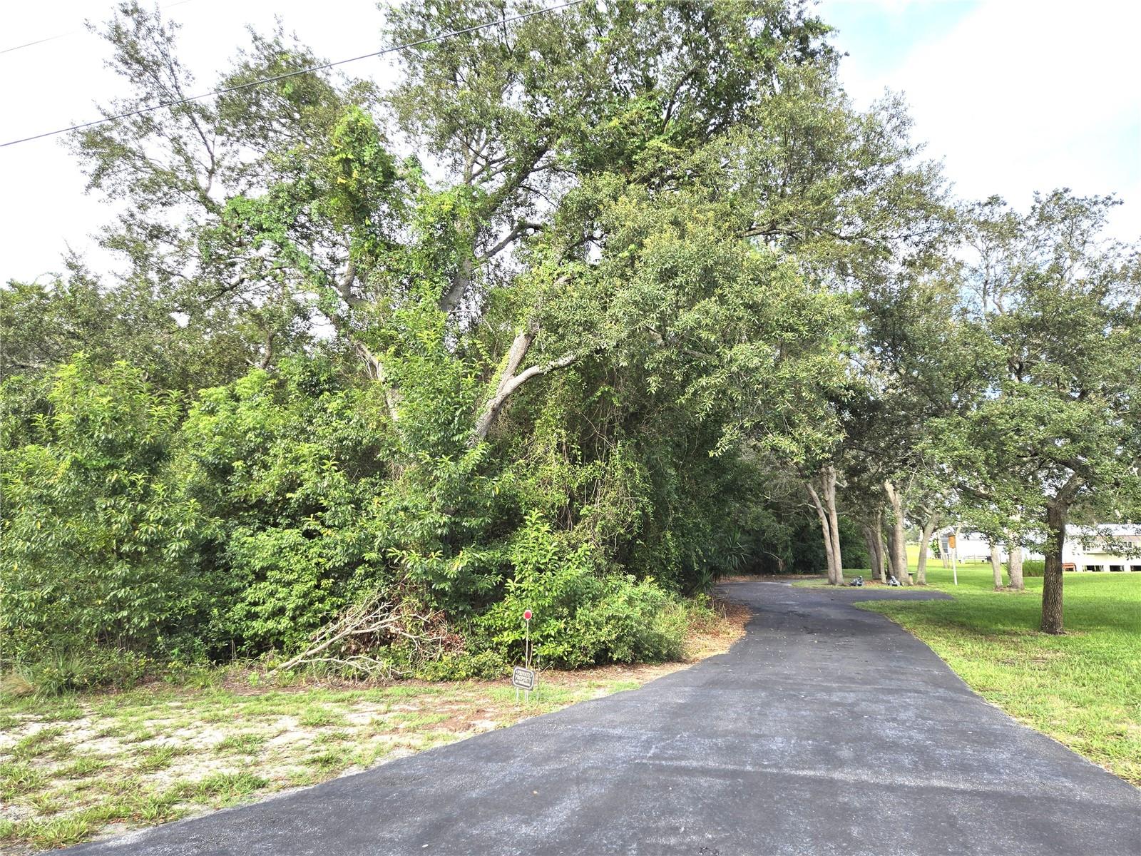 Image 42 of 48 For 17640 Dansville Drive