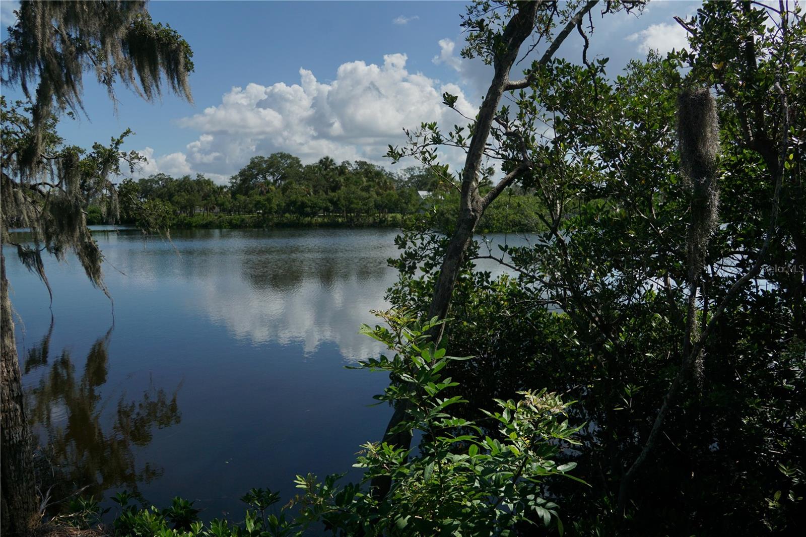 Image 2 of 7 For Tiberius Trail