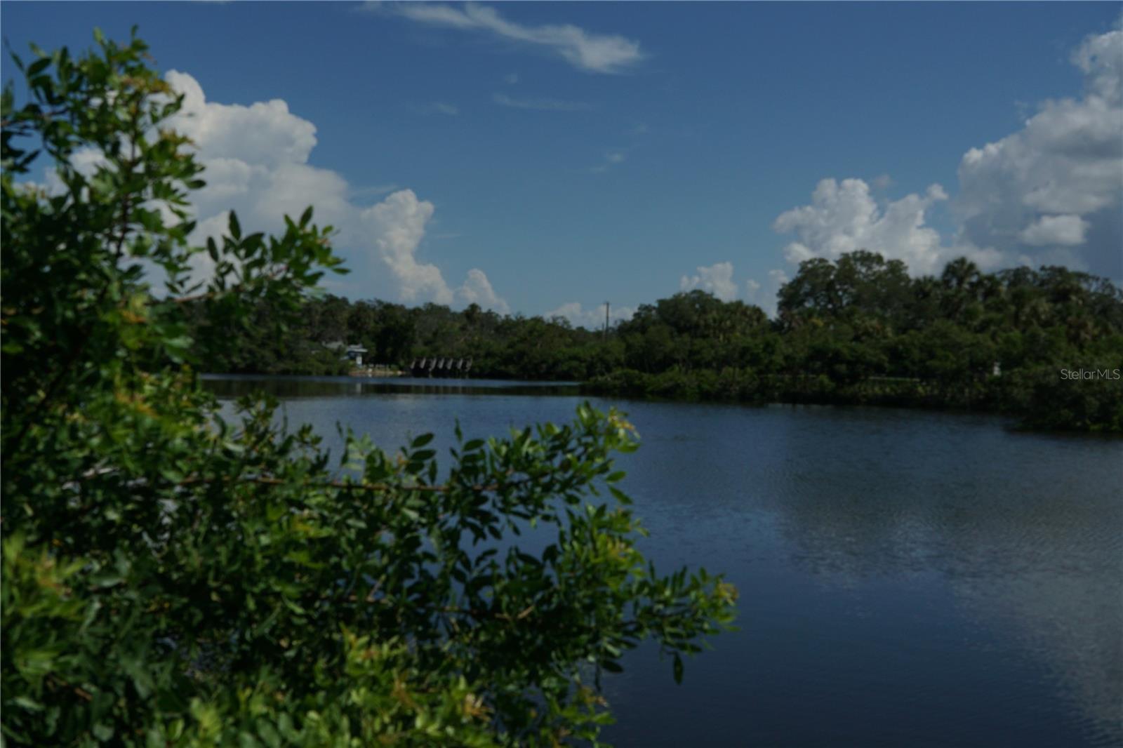 Image 3 of 7 For Tiberius Trail