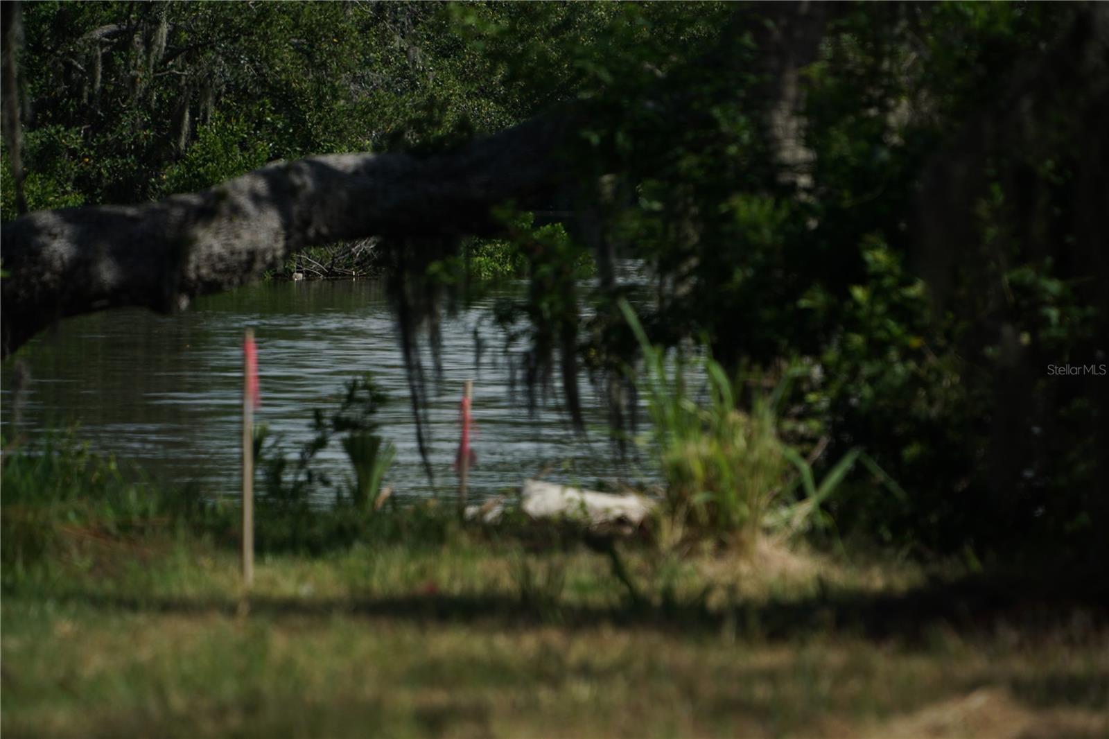 Image 5 of 7 For Tiberius Trail