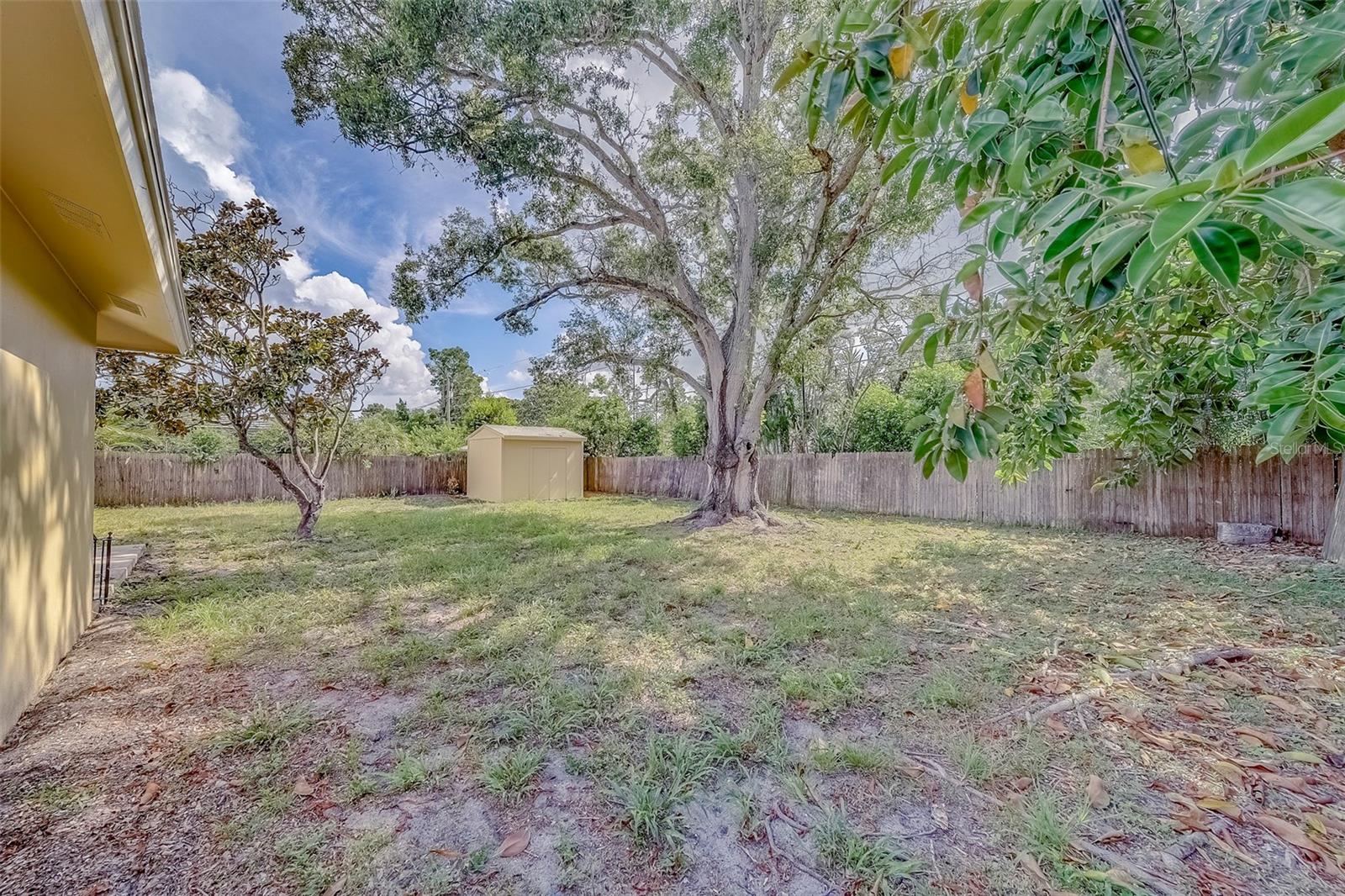 Image 37 of 56 For 649 Eastview Road