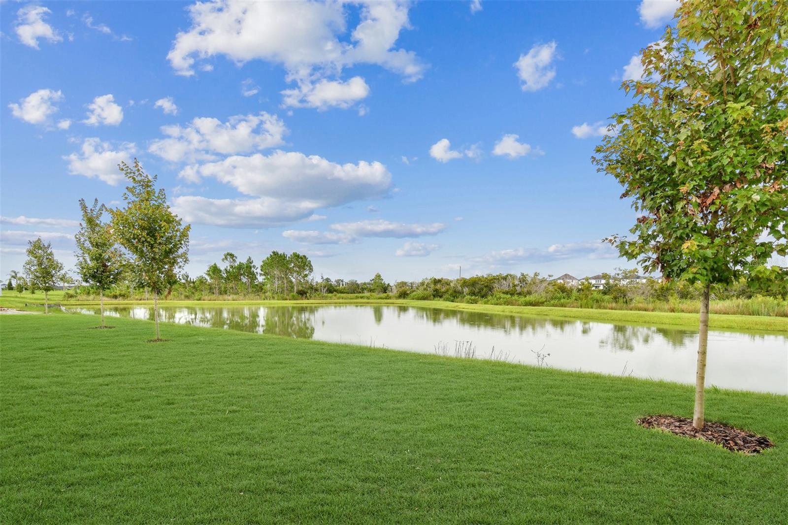 Listing photo id 39 for 31486 Hayman Loop