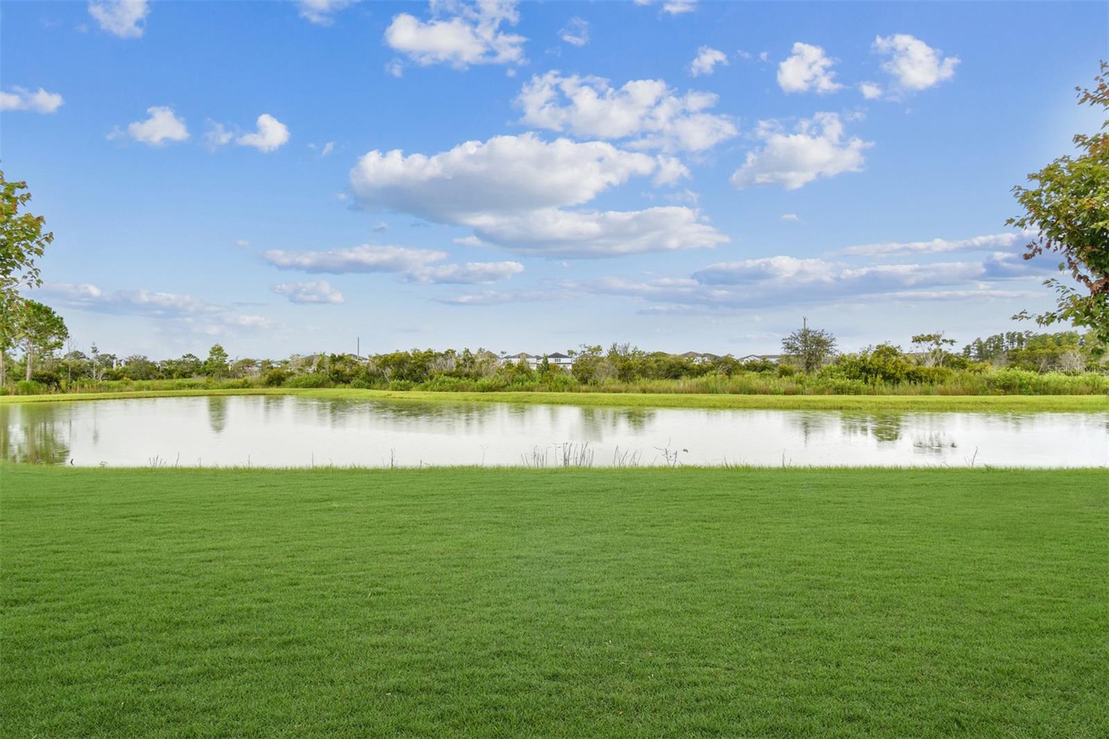 Listing photo id 40 for 31486 Hayman Loop