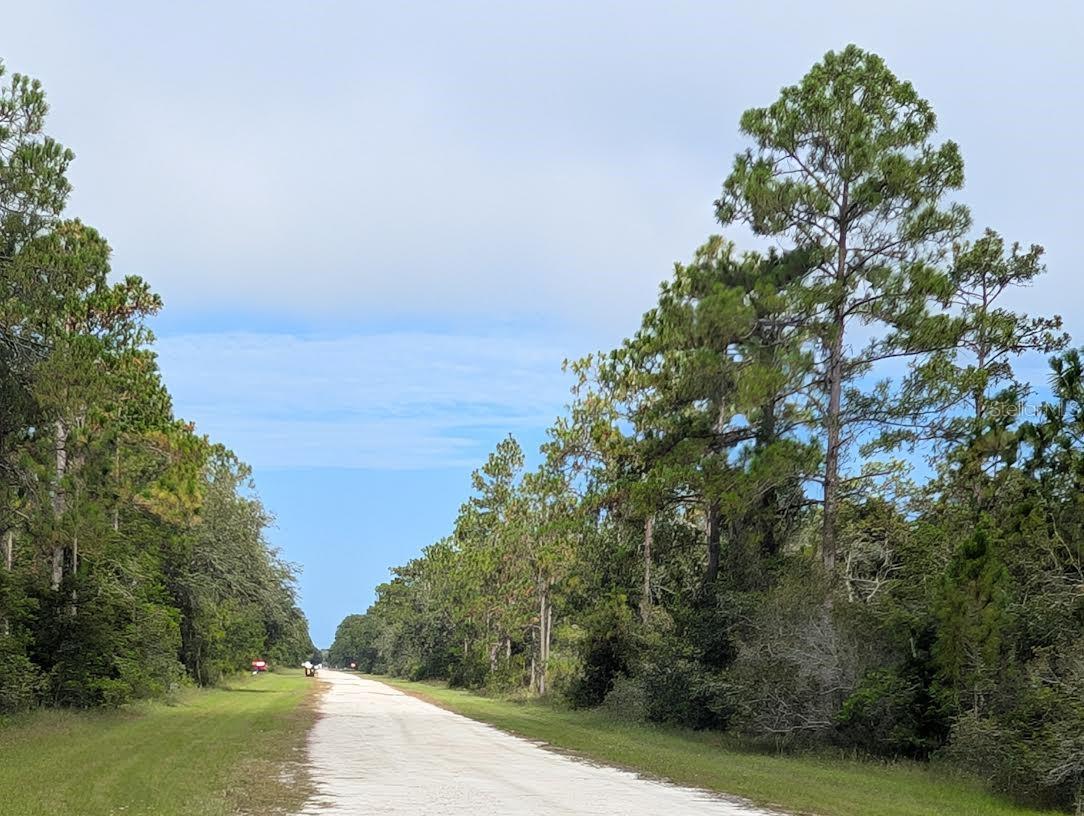 Image 3 of 35 For 523 Azalea Drive