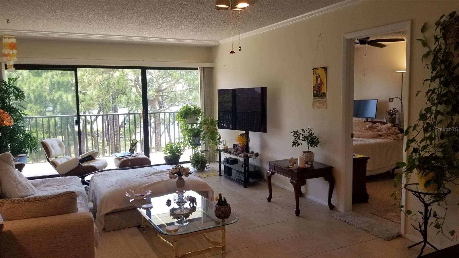 Image 10 of 26 For 2700 Bayshore Boulevard 11-306