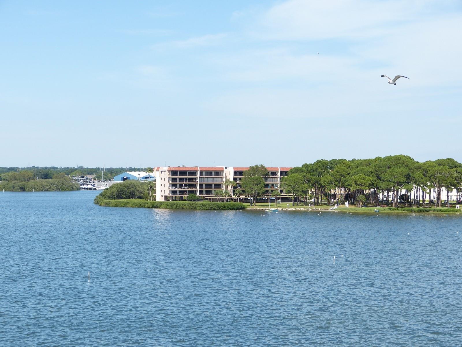 Image 3 of 26 For 2700 Bayshore Boulevard 11-306