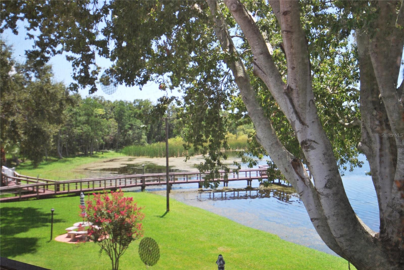 Image 10 of 31 For 2040 Lakeview Drive 206