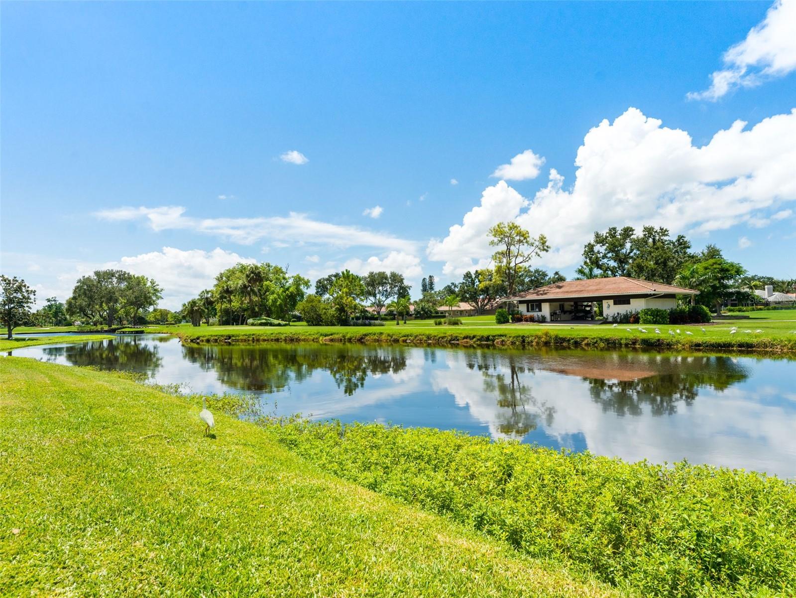 Image 33 of 40 For 6150 Gulfport Blvd  404