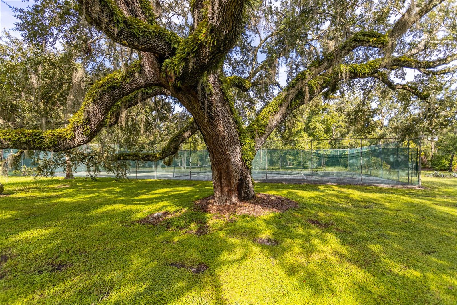 Image 35 of 39 For 11407 Orilla Del Rio Place