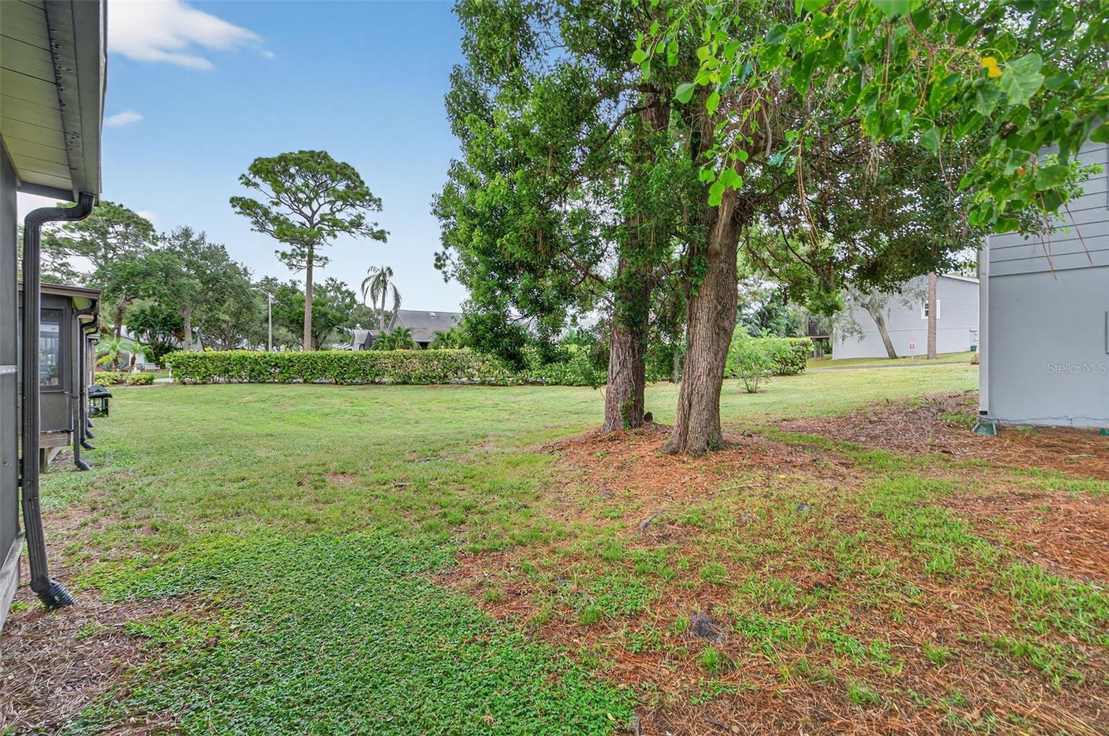 Image 45 of 67 For 39650 Us Highway 19 N 584